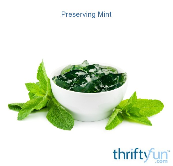 Preserving Mint? ThriftyFun