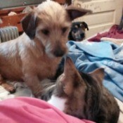 Alexis and kitty on bed.