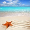 Beach Photo With Starfish