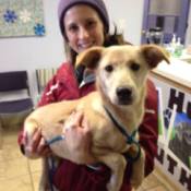 Girl holding a tan dog.