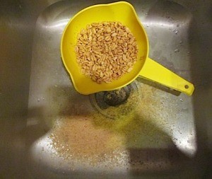 Strain Sugar from Cereal