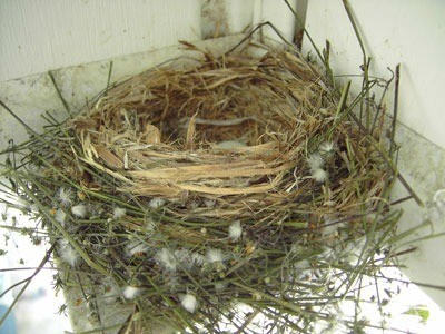 Bird's nest decorated with flowers.