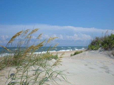 Sand Dunes (Cape Hatteras, NC)