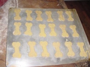 A tray of dog biscuits on a cookie sheet