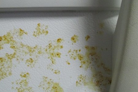 Stains on Refrigerator Doors
