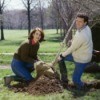 Couple Celebrating Arbor Day by Planting Tree