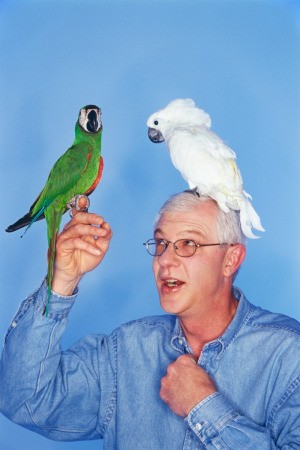 Man with Pet Cockatiels