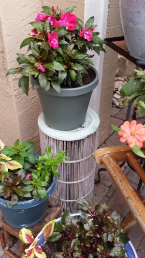 Used Pool Filter as a Garden Plant Stand - flowerpot on top of filter