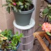 Used Pool Filter as a Garden Plant Stand - flowerpot on top of filter