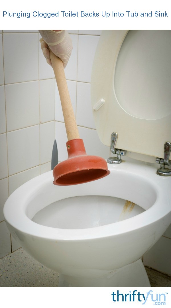Plunging Clogged Toilet Backs Up Into Sink Thriftyfun