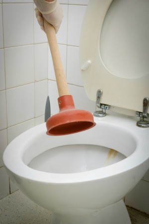 Plunging Clogged Toilet