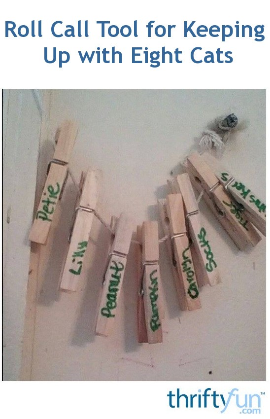 clothes pins