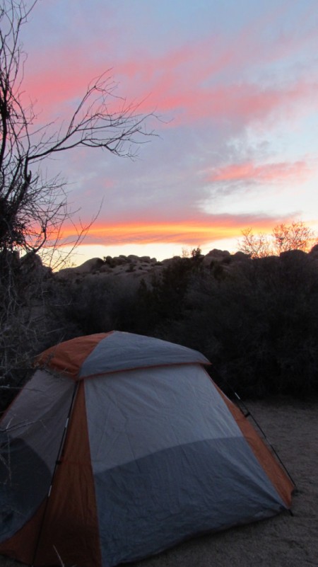 Camping at Joshua Tree