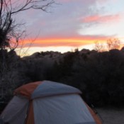 Camping at Joshua Tree