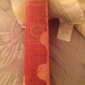 Spine of volume, with light spots.