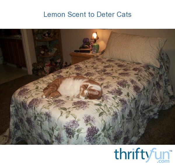 Lemon Scent to Deter Cats ThriftyFun