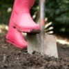 Gardening in Moist Soil