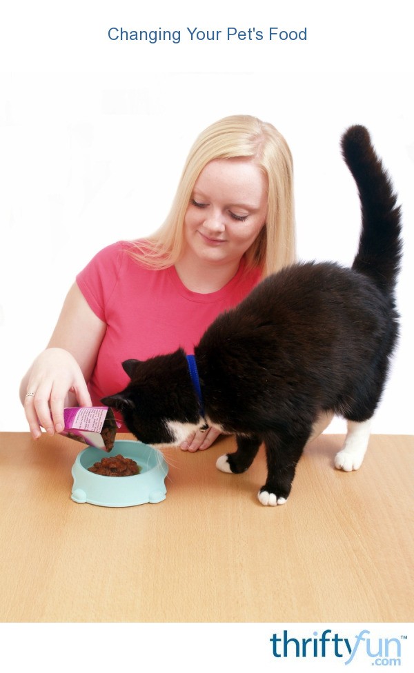 Changing Your Pet's Food ThriftyFun