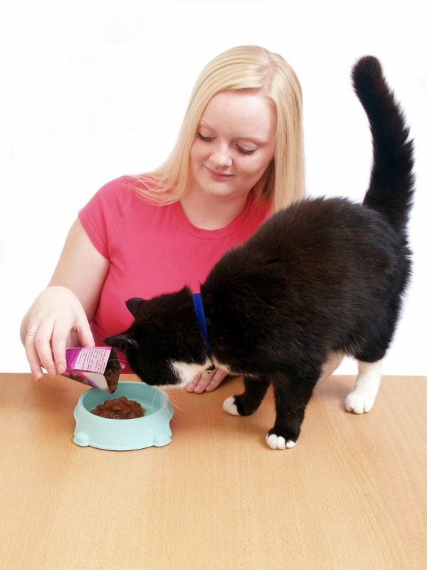 Changing Your Pet's Food ThriftyFun