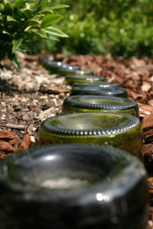 Glass Bottles on Garden Path