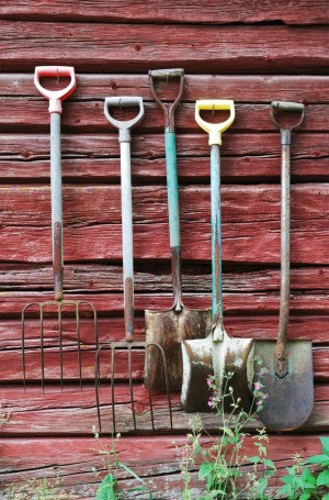 Garden Tools on Shed Wall