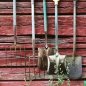 Garden Tools on Shed Wall