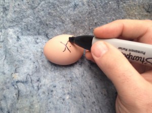 mark the egg