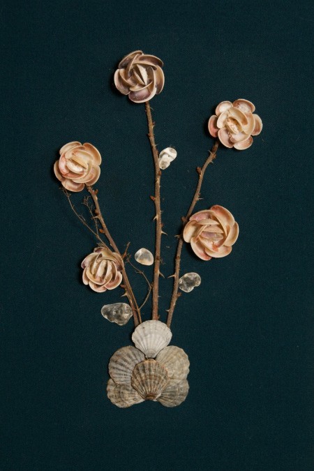 Seashell Roses