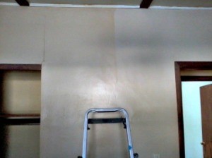 Clean Walls with Vinegar and Ammonia
