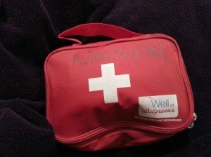 labeled emergency bag