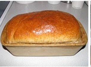 Honey Wheat Bread