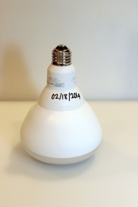 date on bulb