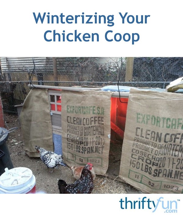 Winterizing Your Chicken Coop ThriftyFun