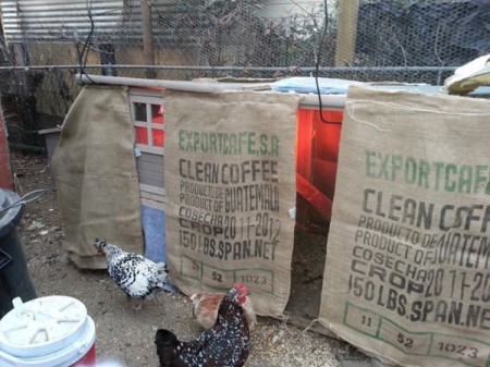 Insulating A Chicken Coop Thriftyfun