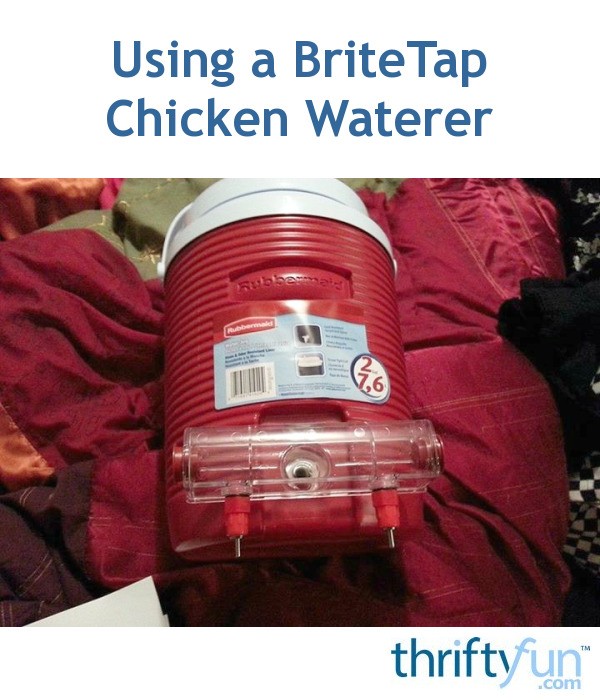 How to Make an Insulated Chicken Waterer ThriftyFun
