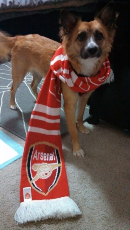 Bella with a red and white scarf.
