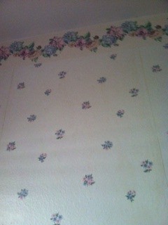 Small pink and blue flower print wallpaper.