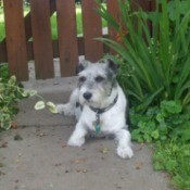 The egg seller for the day