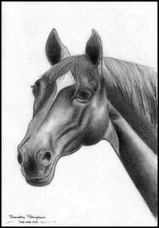 Love of Horses Greeting Card