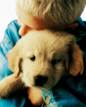 Comforting Puppy
