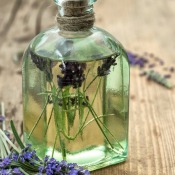 Lavender Flowers in Oil