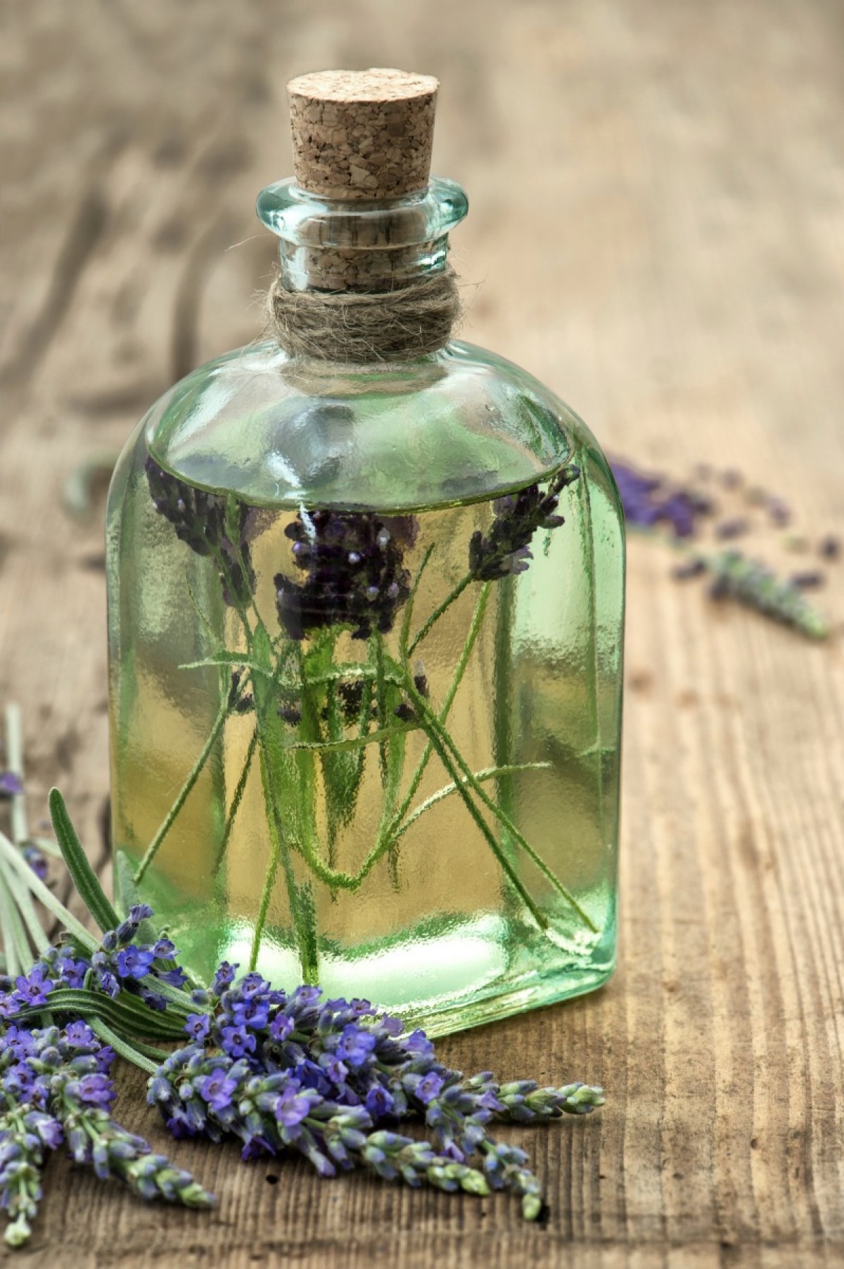 Preserving Herbs and Flowers in Oil | ThriftyFun
