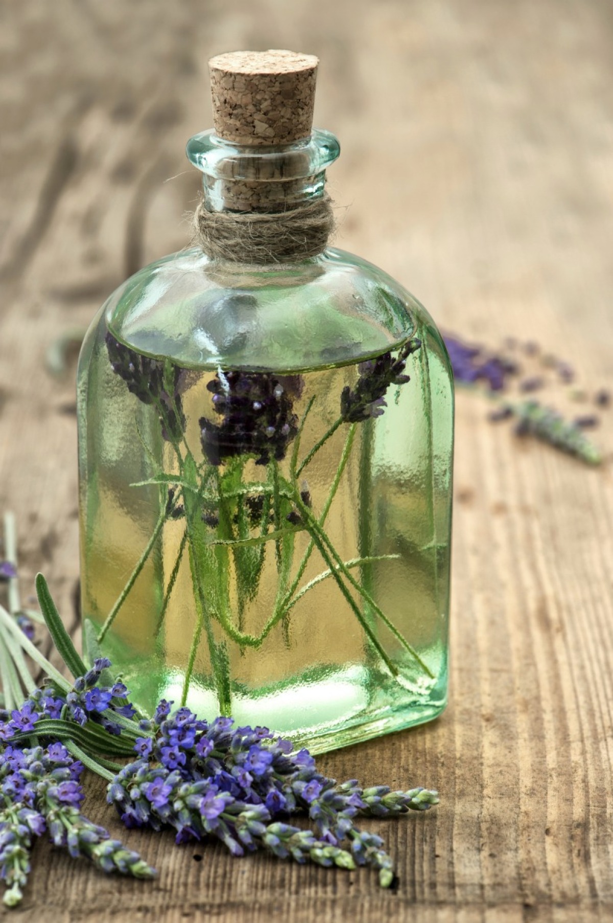 Preserving Herbs And Flowers In Oil Thriftyfun