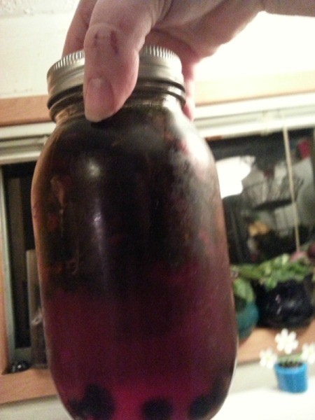 Strawberry, Blueberry, and Mint Vitamin Water