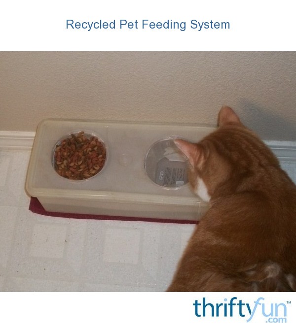 Recycled Pet Feeding System ThriftyFun