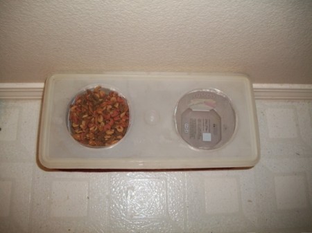 Finished feeder with food and water bowls.