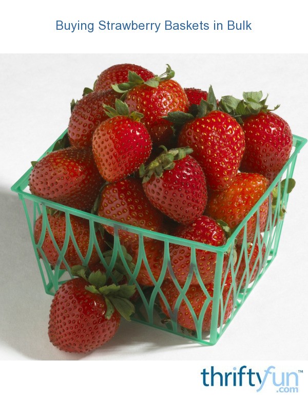 Buying Strawberry Baskets in Bulk? ThriftyFun