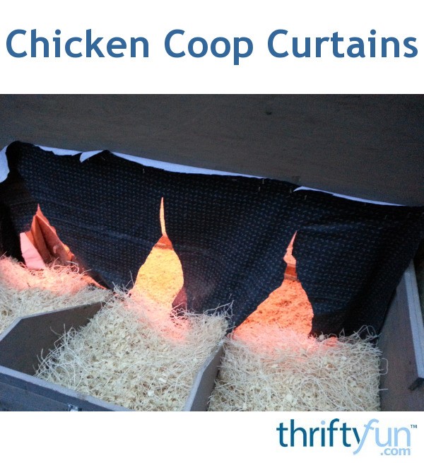 Chicken Coop Curtains ThriftyFun