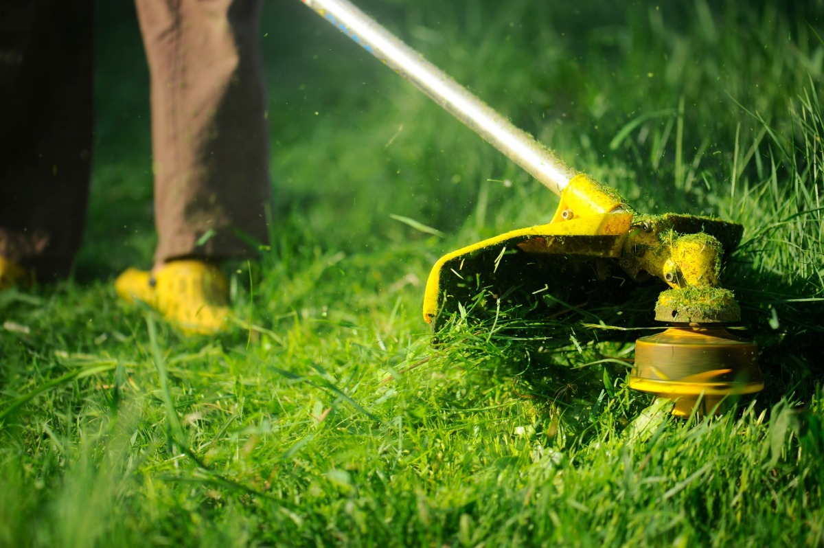 Mowing a Lawn Without a Mower | ThriftyFun