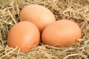 Farm Fresh Eggs